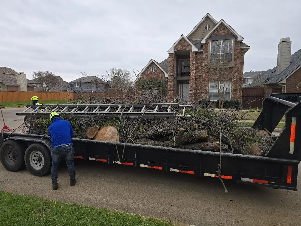 Expert Tree Fertilization with proper safety equipment in De Peyster